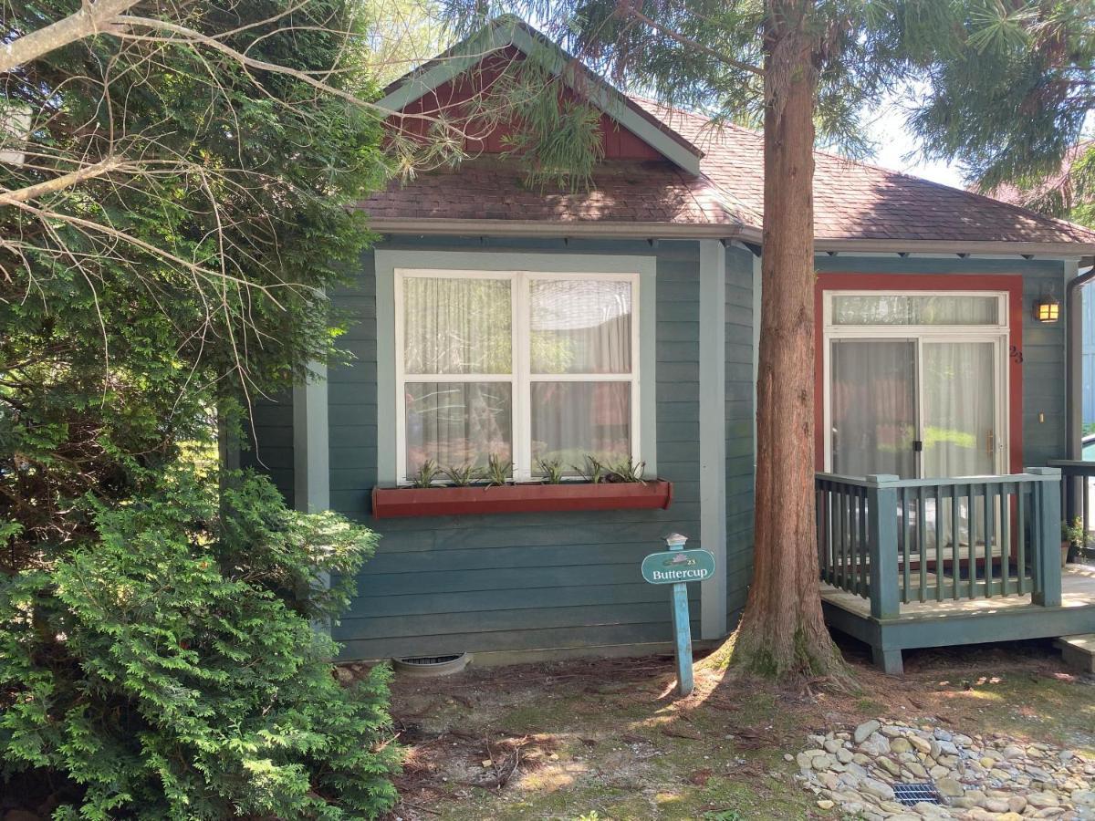 Buttercup Cottage Asheville Bagian luar foto