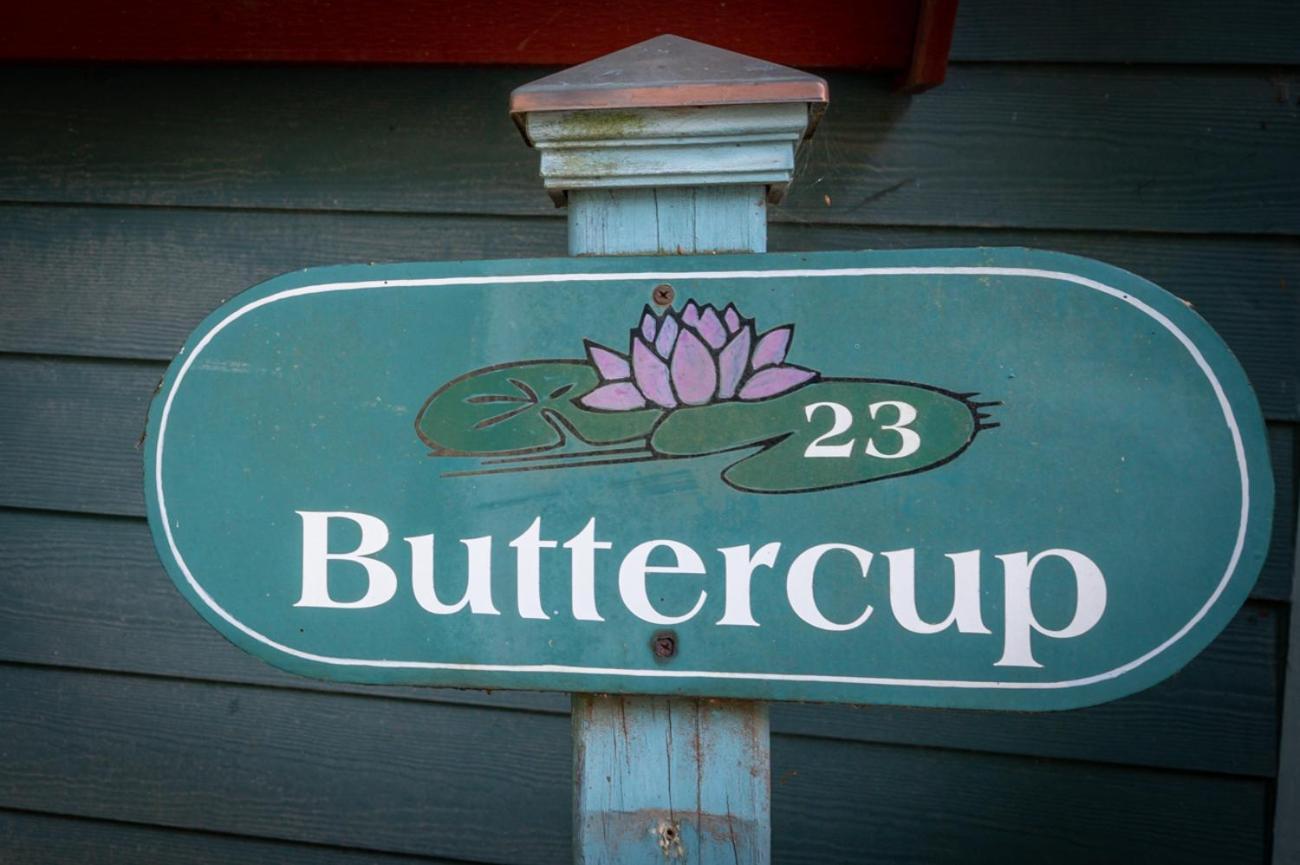 Buttercup Cottage Asheville Bagian luar foto